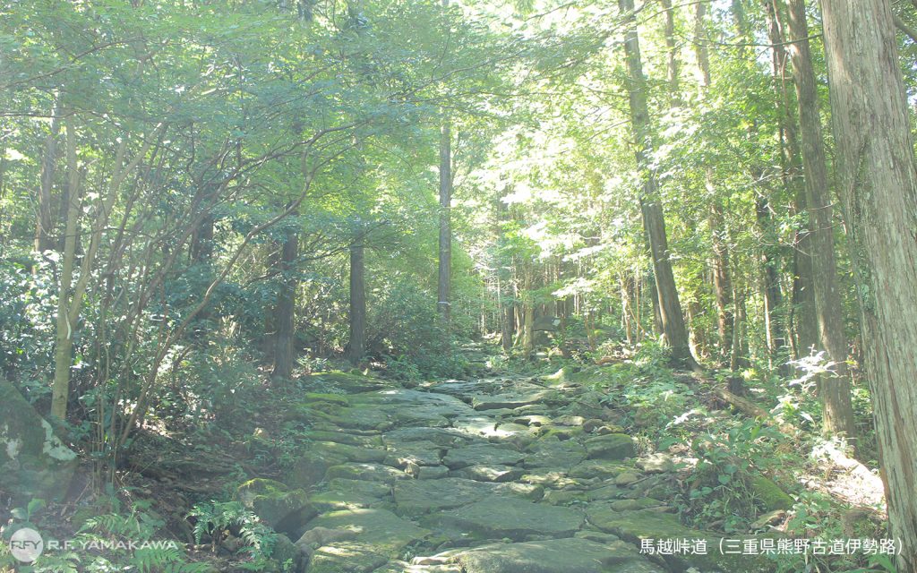 世界遺産の熊野古道伊勢路。「馬越峠の石畳」背景