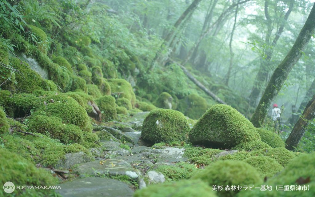 美杉の健康セラピー基地