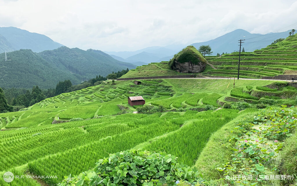 大切にしたい日本の原風景。三重県熊野市の「丸山千枚田」背景その①