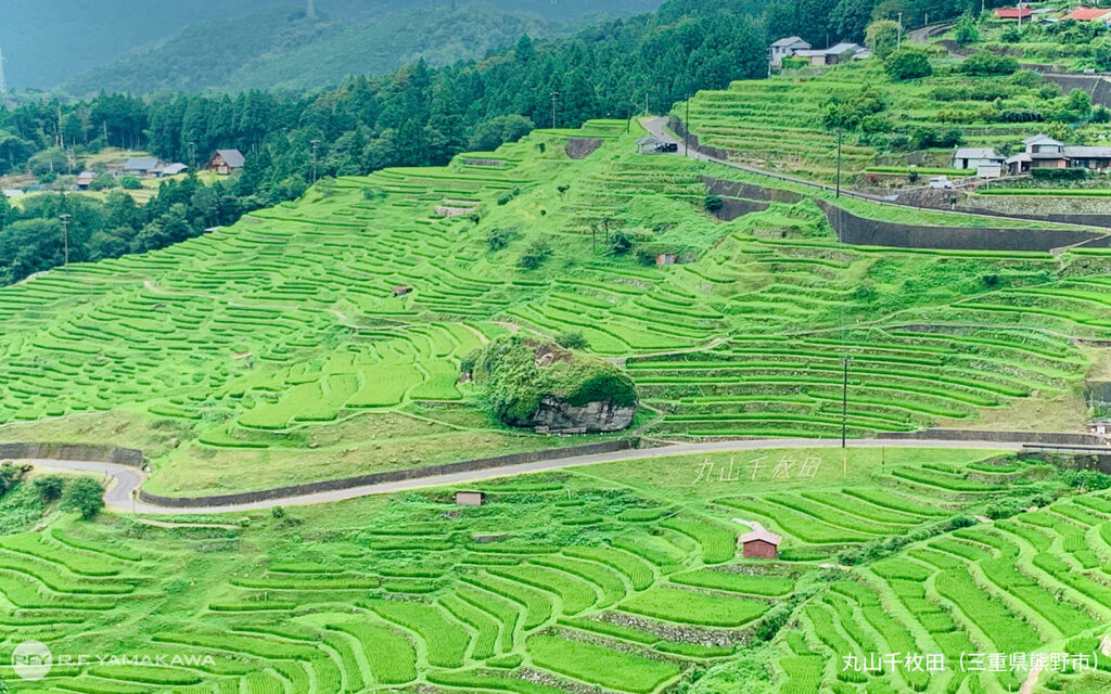 大切にしたい日本の原風景。三重県熊野市の「丸山千枚田」背景その②